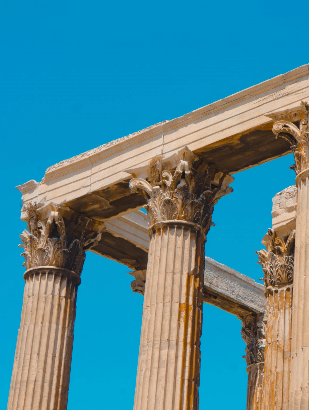 services.culture_and_art